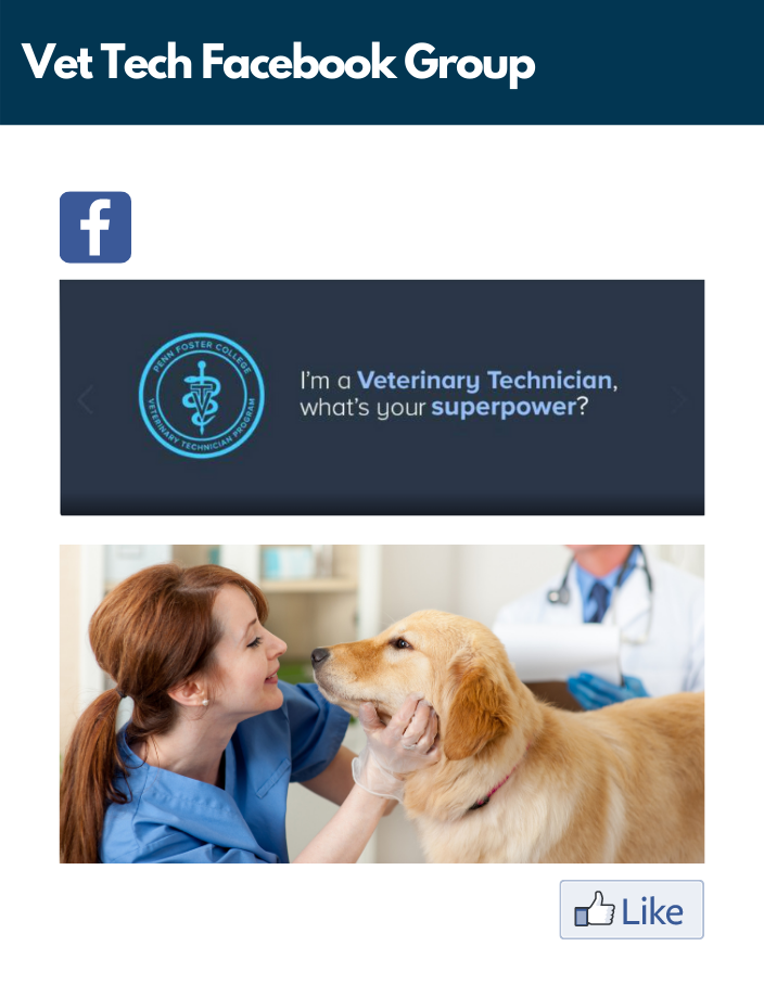 Penn Foster Veterinary Resource Center
